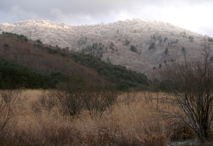 臥竜山