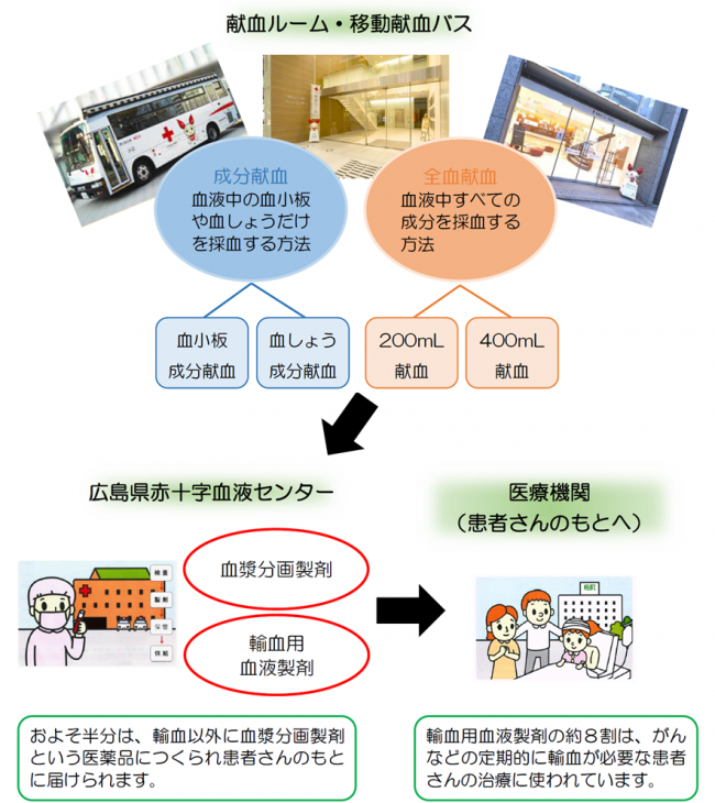 献血から患者さんに届くまで説明図