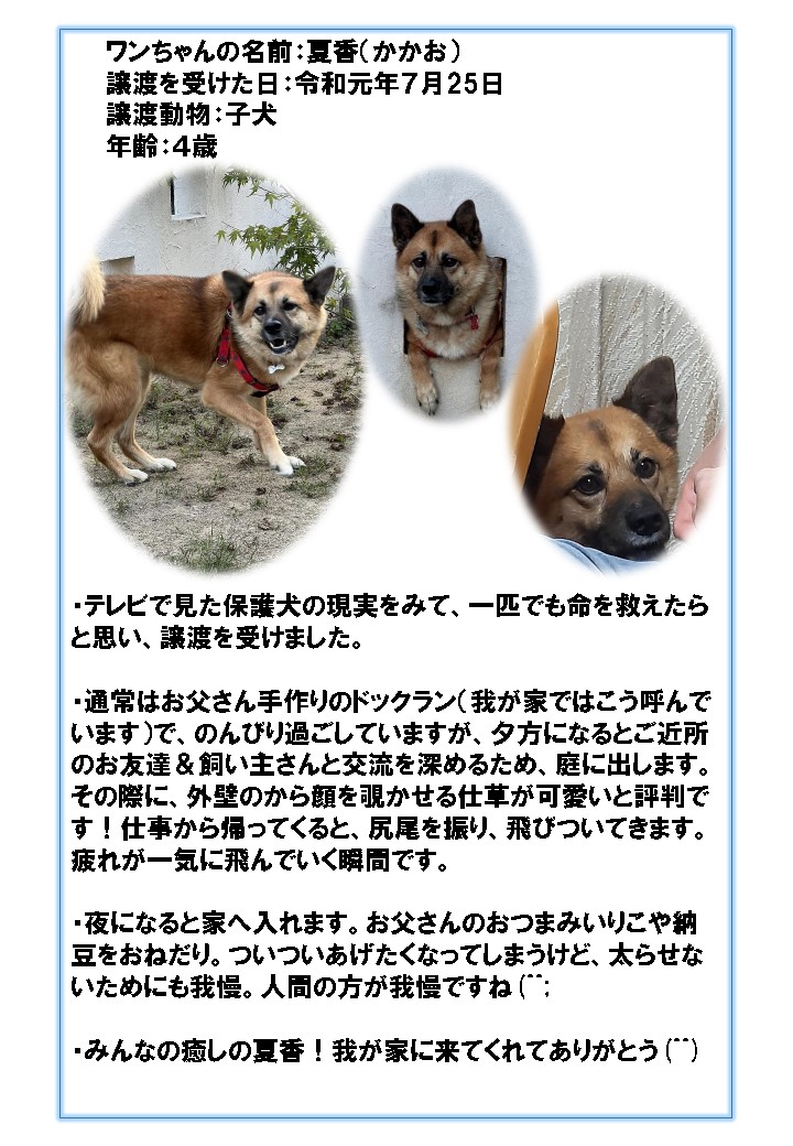 かかおちゃん