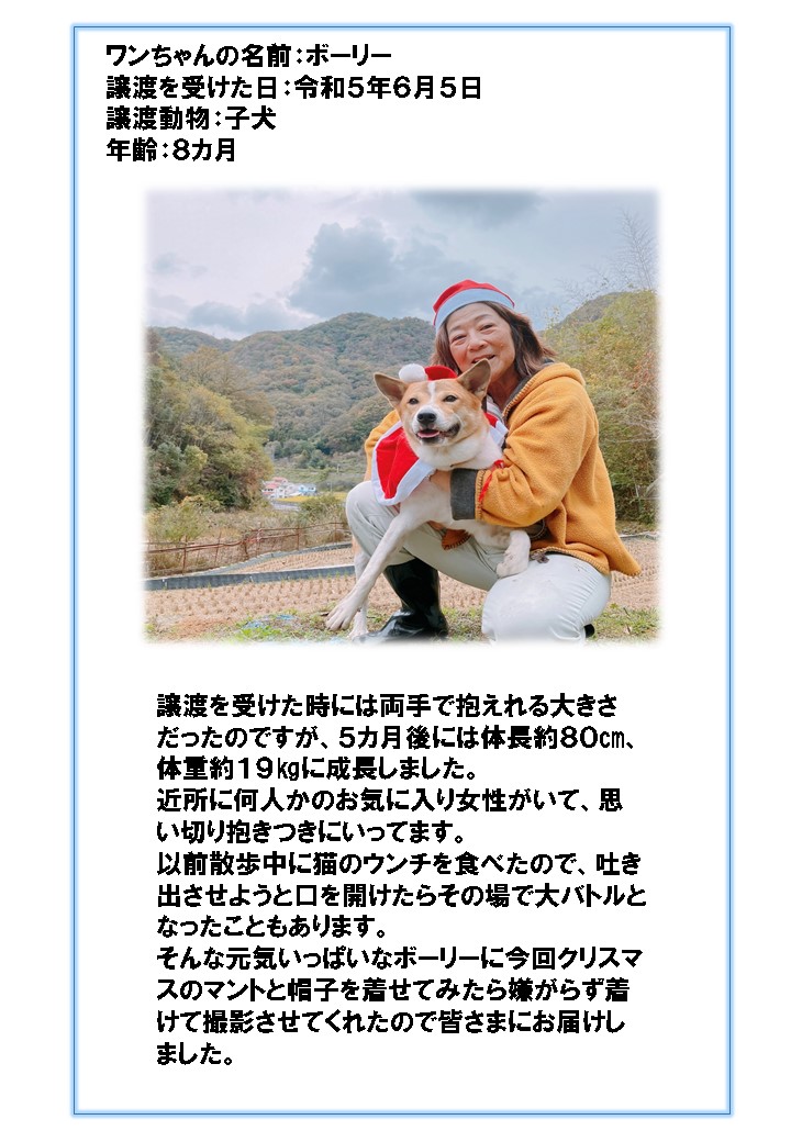 ボーリーちゃん