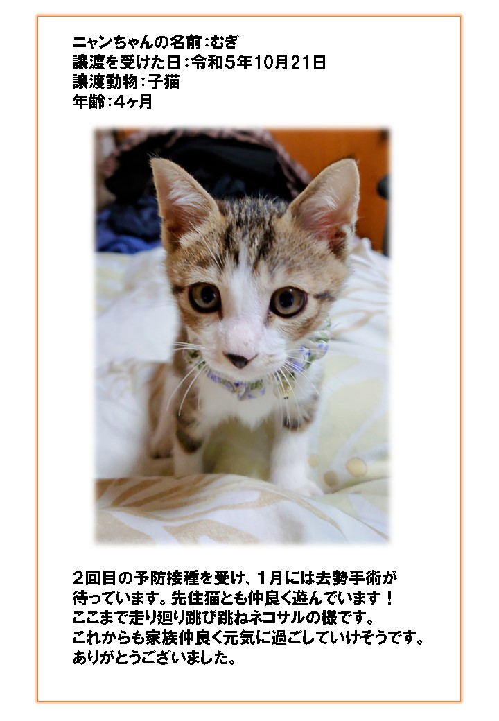 むぎちゃん