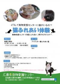 猫ふれあい体験