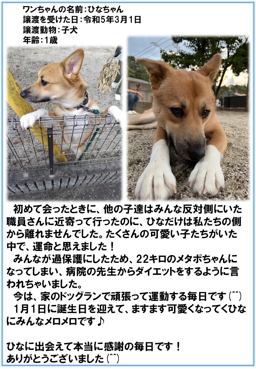 ひなちゃん