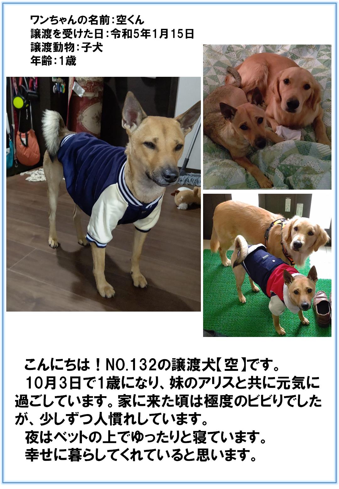 空くん