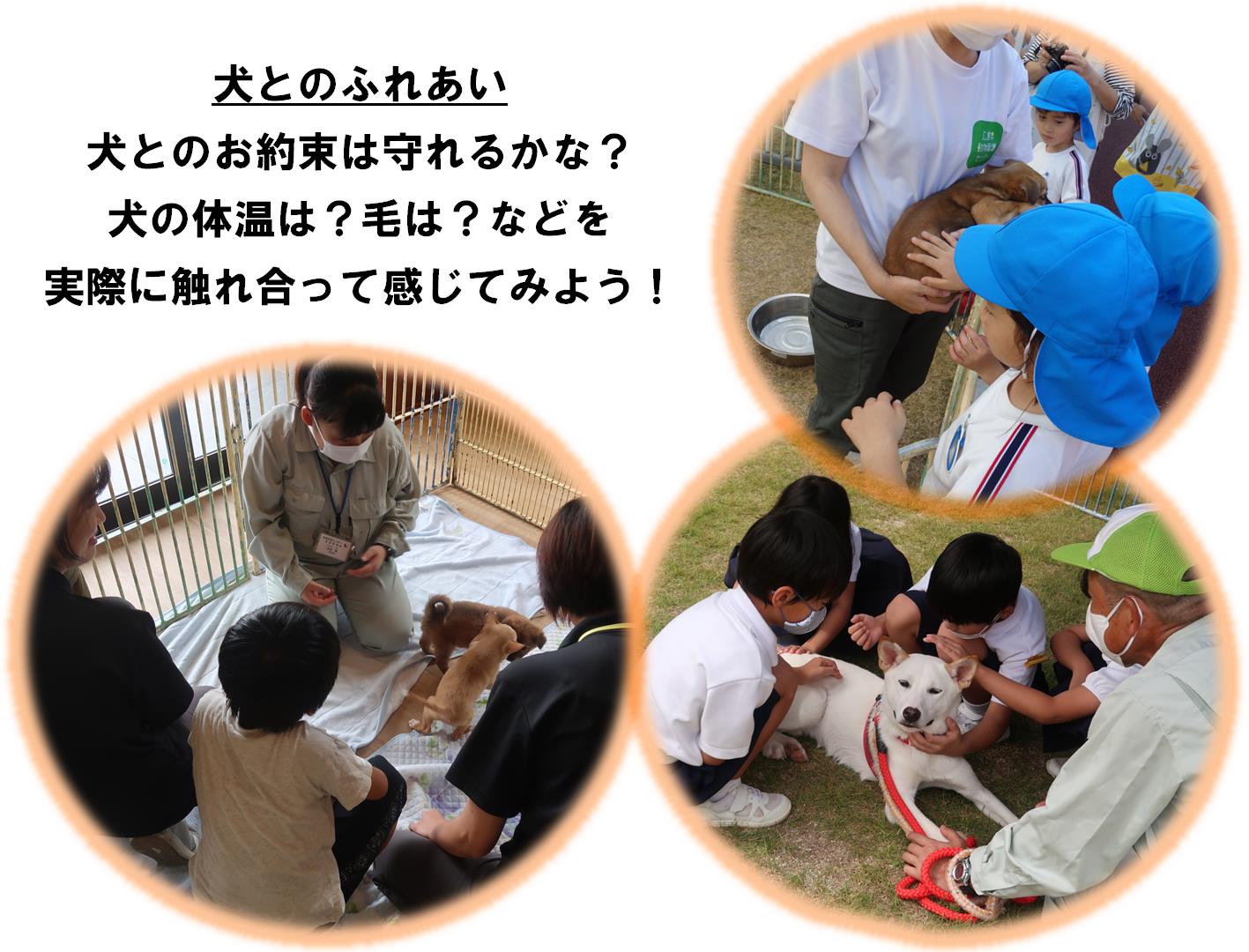親子DE動物ふれあい教室１