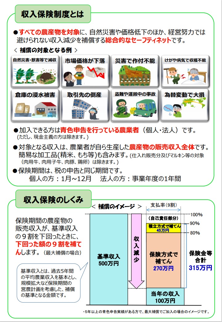 ～もしもにそなえる、あなたへのエール。～農業経営収入保険 （収入保険パンフレット）２