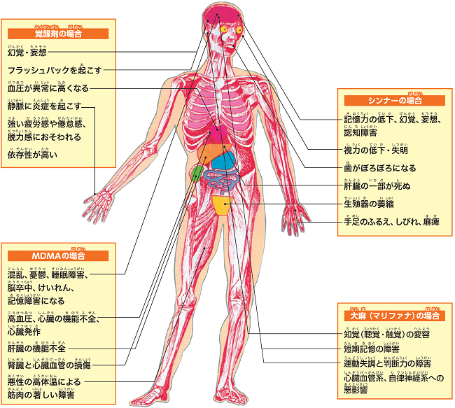 薬物乱用の悪影響