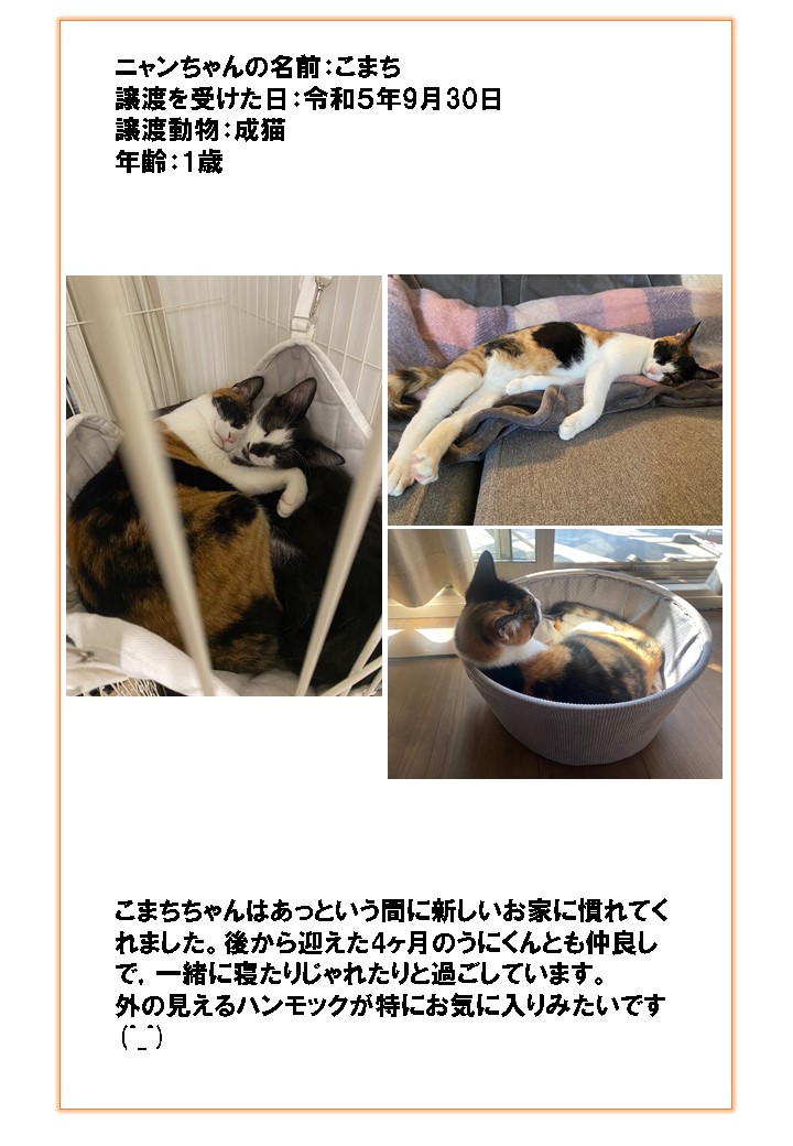 こまち