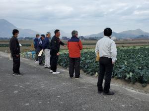 視察研修の様子（現地ほ場）