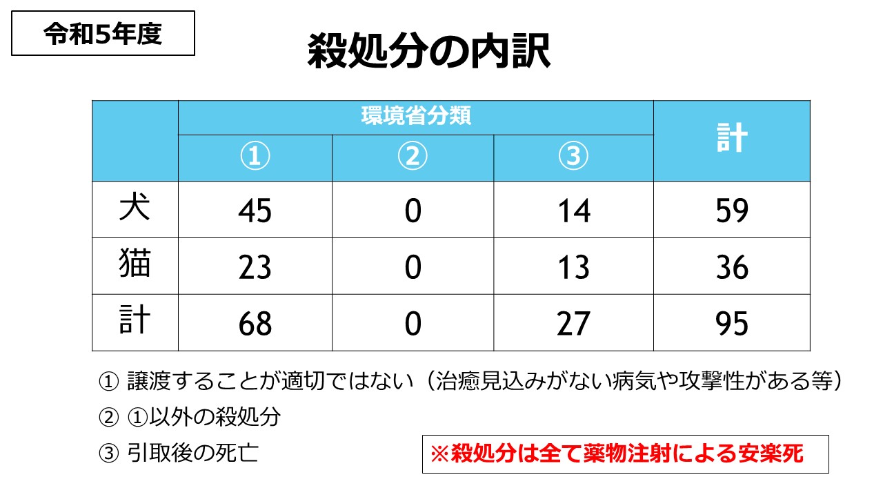 殺処分の内訳