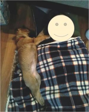 ふうちゃん1