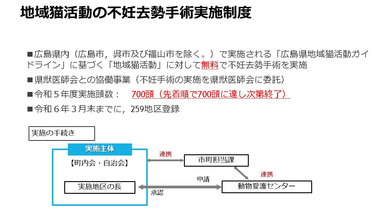 地域猫について