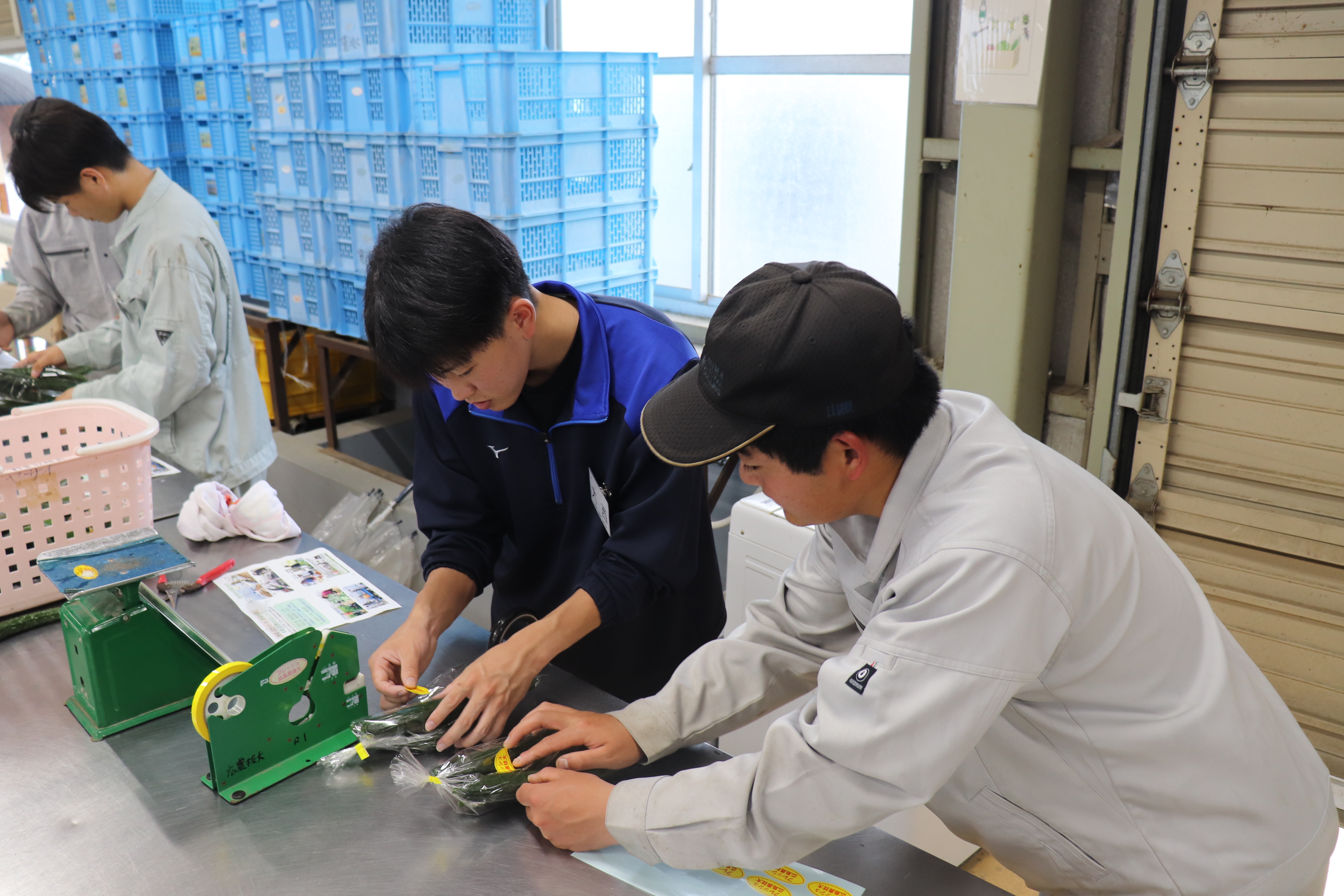 野菜専攻