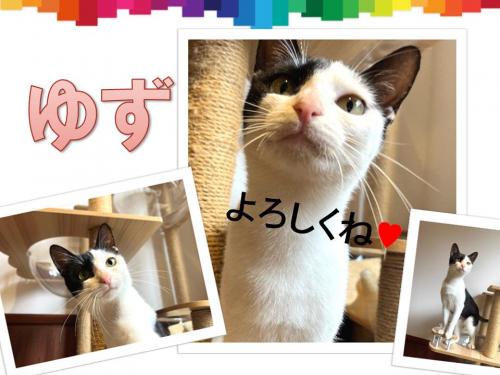 ゆず2