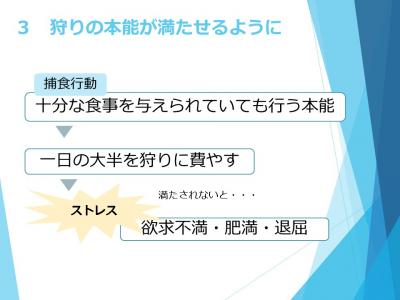 スライド３