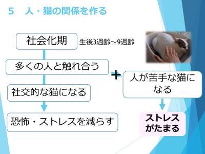 スライド５