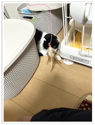 はな2