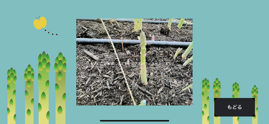 05適したアスパラがなかった場合