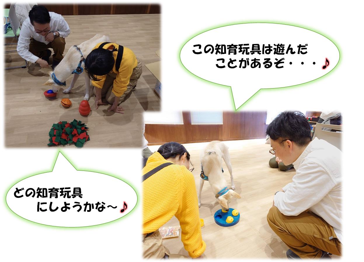 しらたま