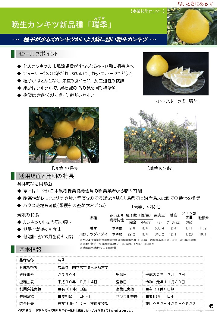 掲載事例２