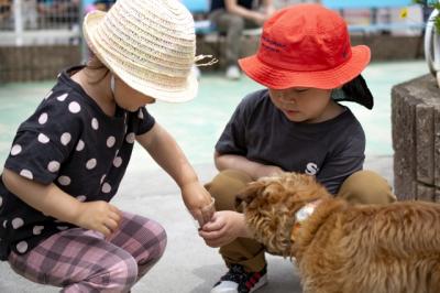 犬とふれあう子供