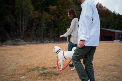 犬の散歩を体験する女性