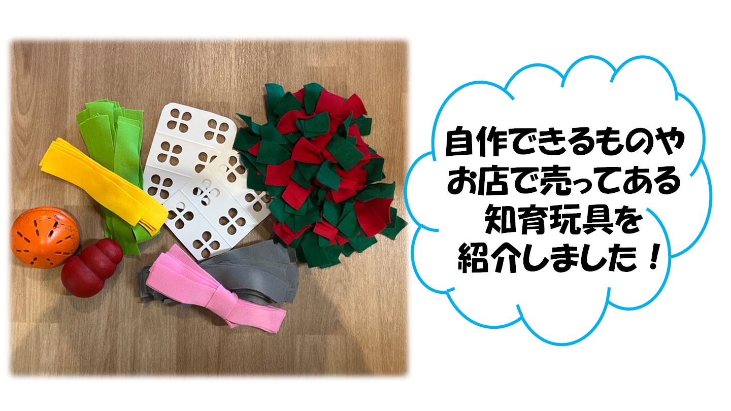 知育玩具