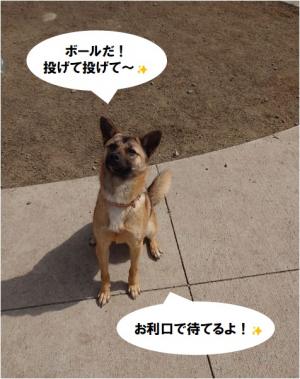 ろんちゃん3