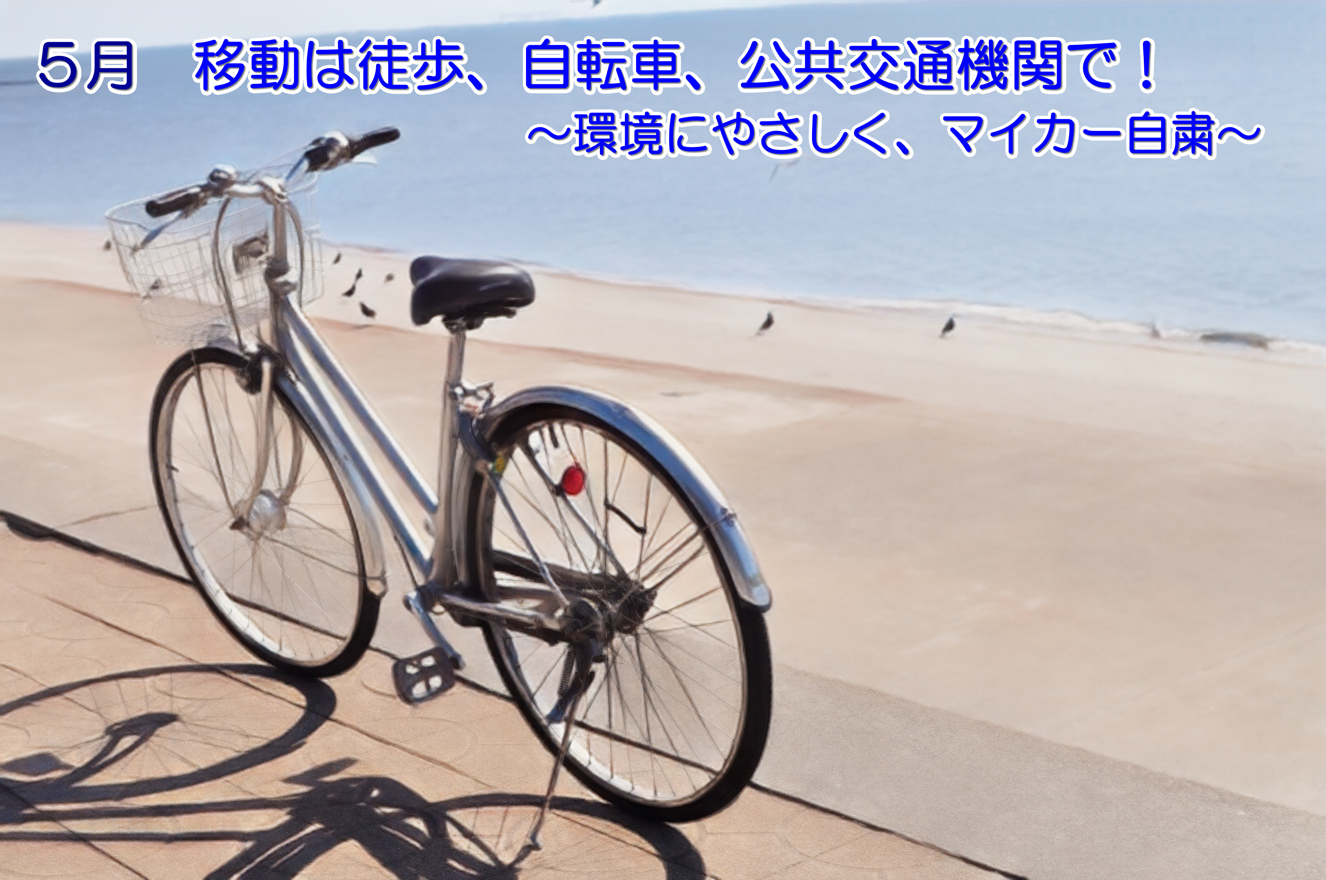 5月