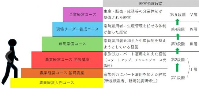 発展段階図