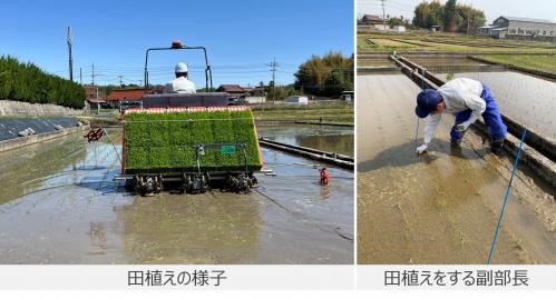にぎやかな田植えの様子