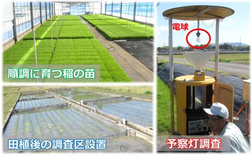 調査の様子の写真