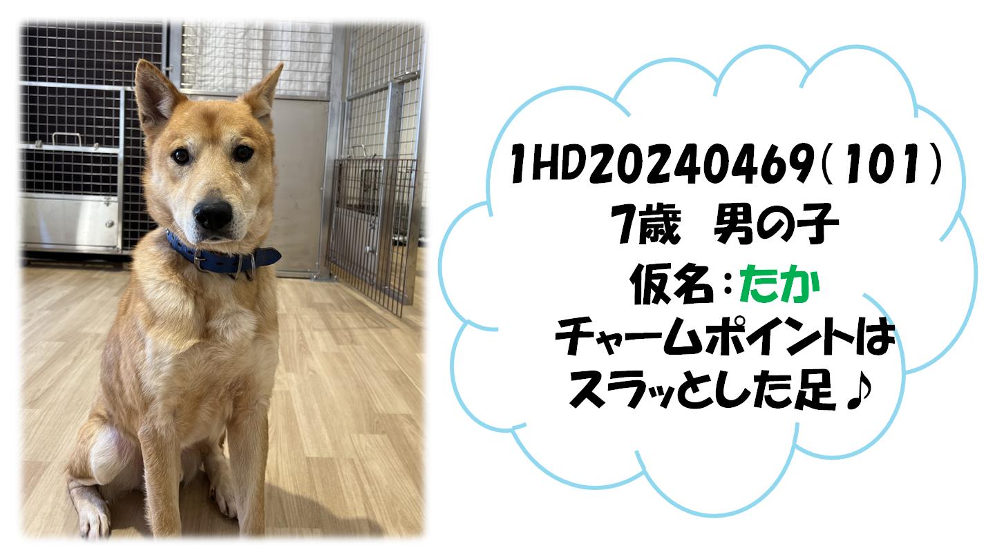 たか