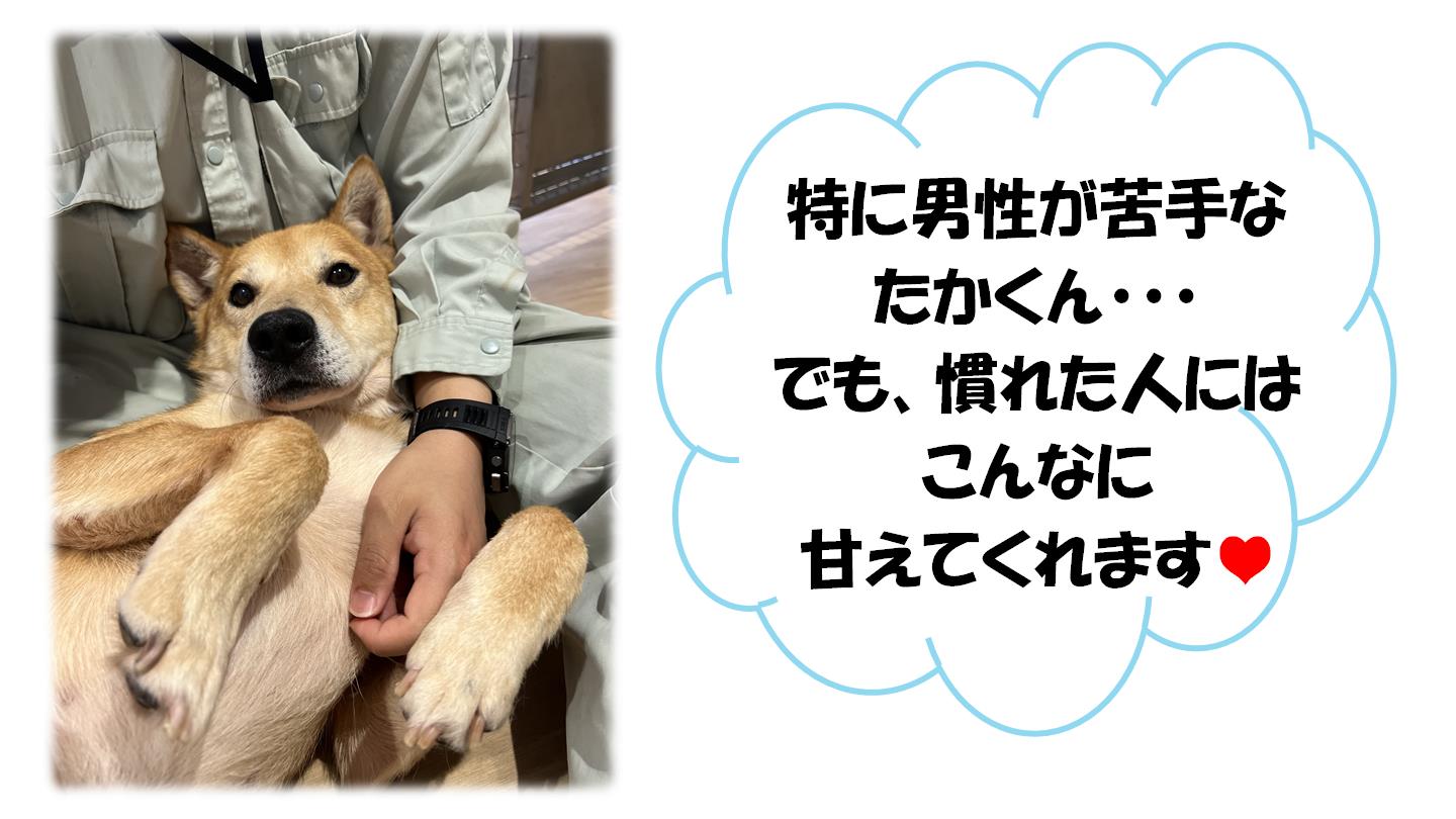 たか２