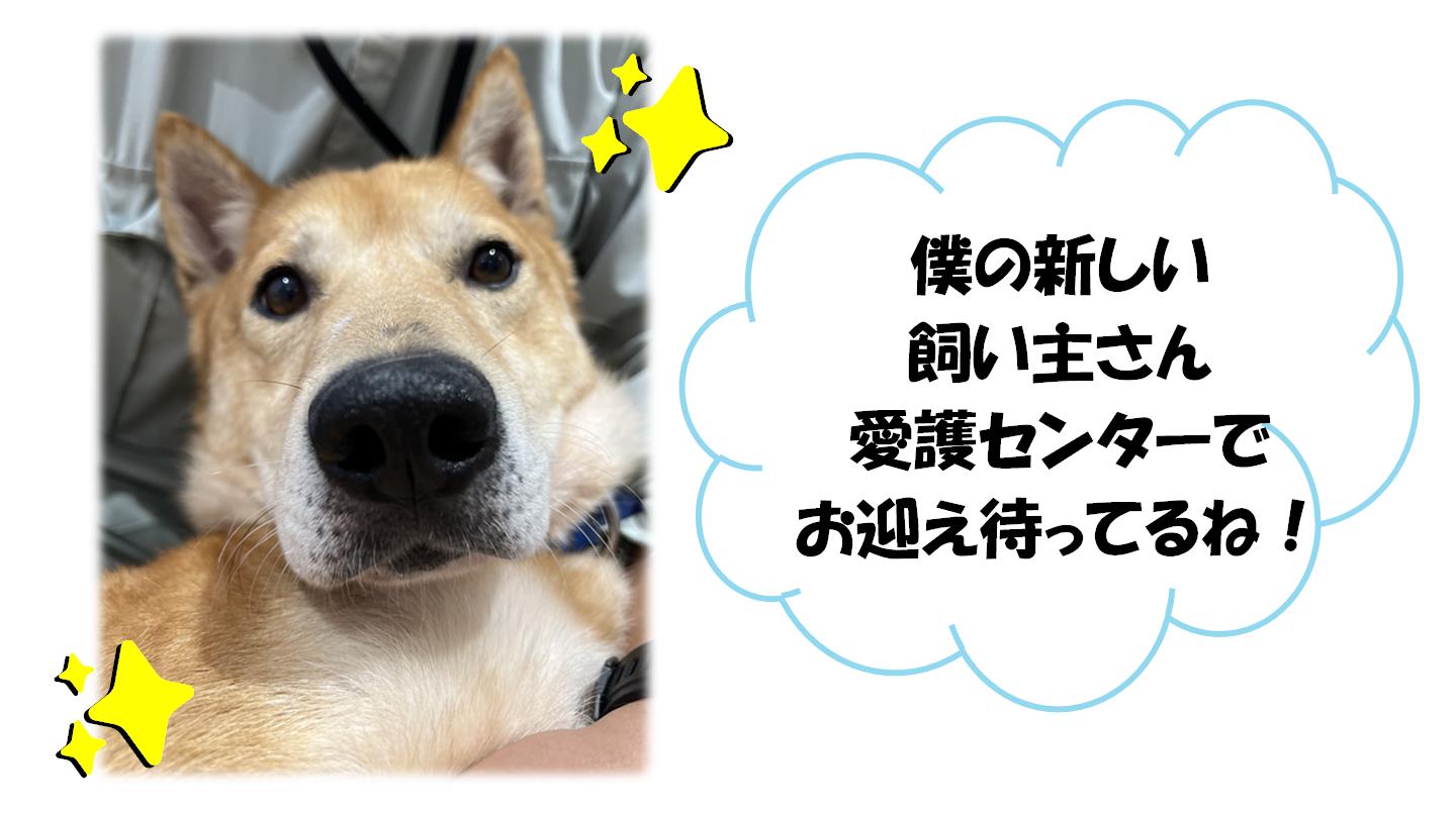 たか４