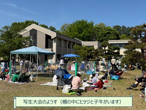 写生大会のようす