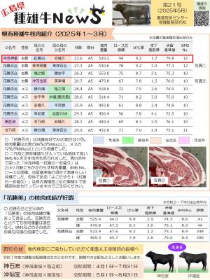 種雄牛ニュース