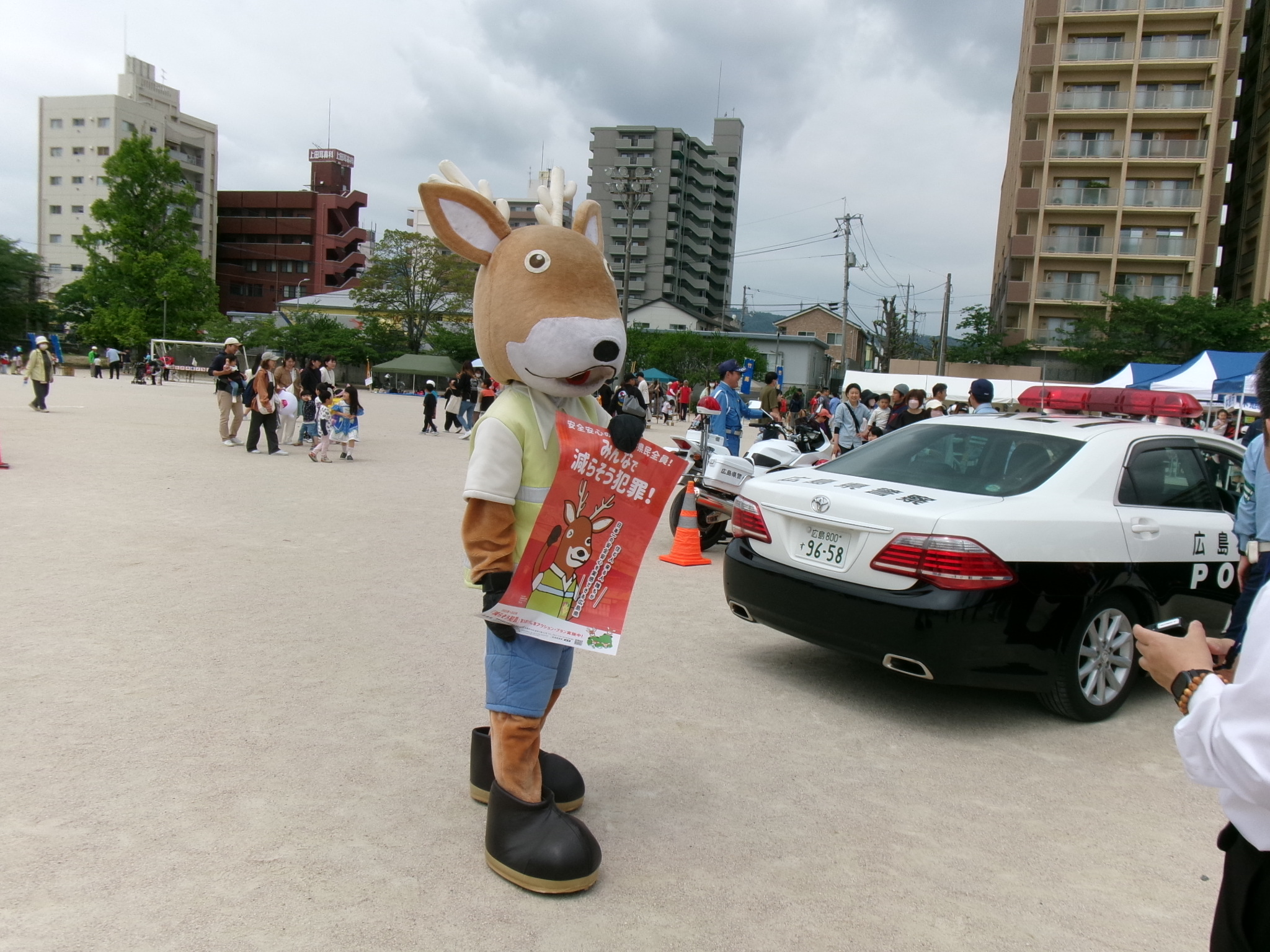モシカの活動状況