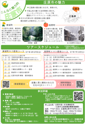 裏