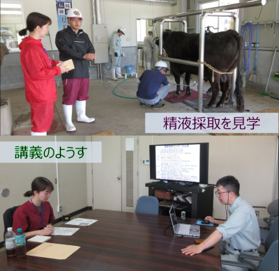 研修中のようす