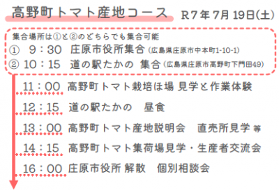スケジュール