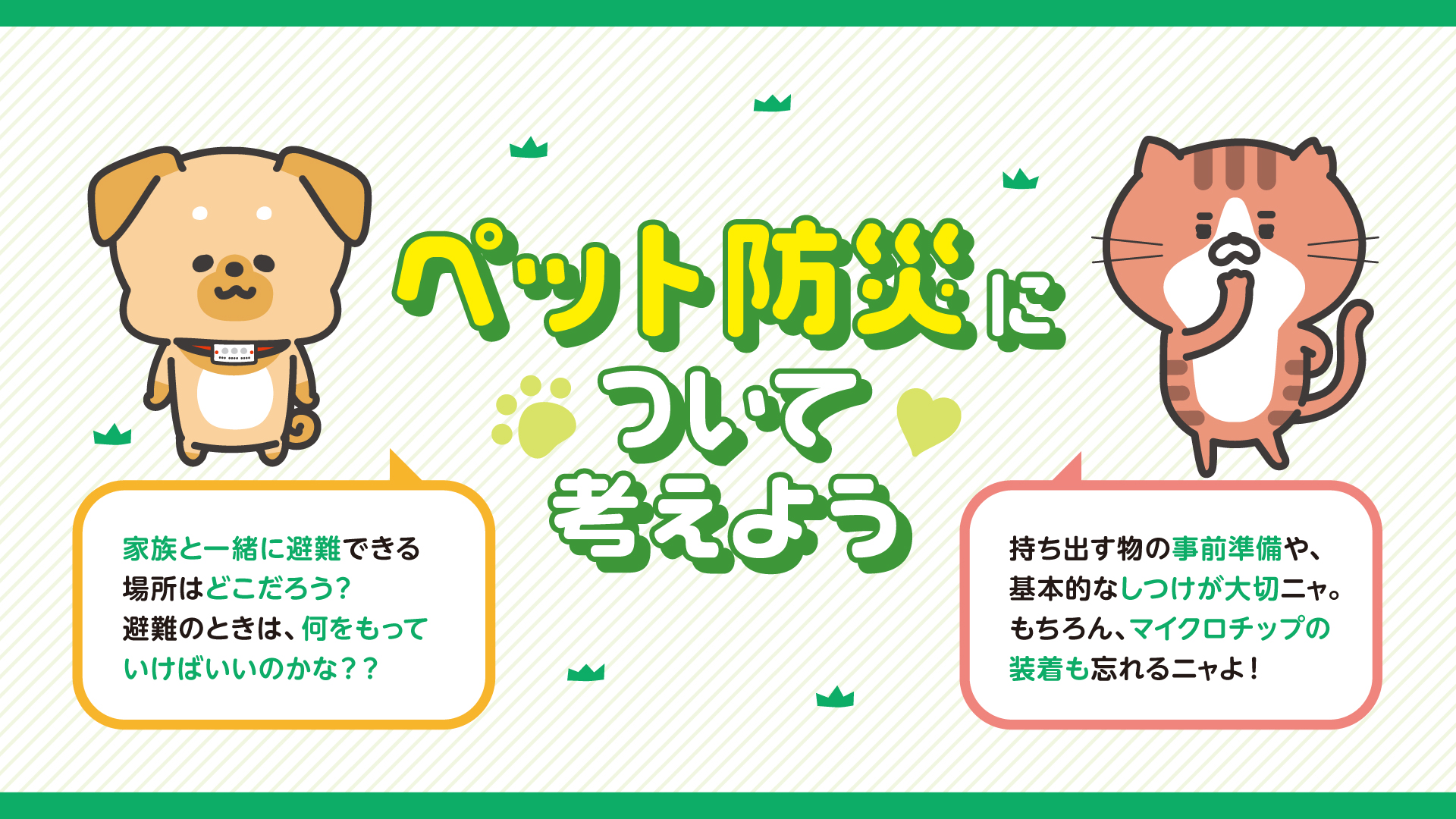 ペット防災１