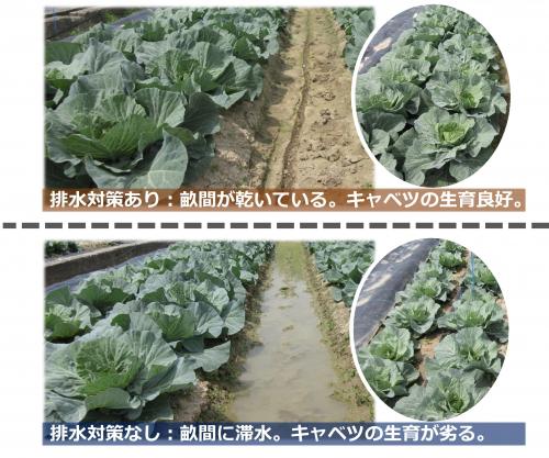 排水の差の写真