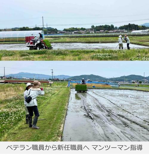 ベテラン職員から新任職員へマンツーマン指導している写真