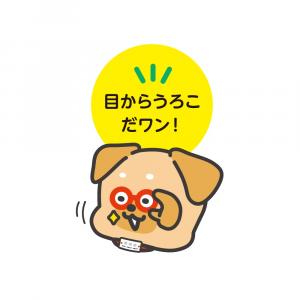 目から