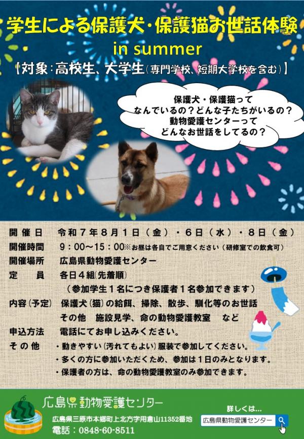 高校大学生の部リーフレット
