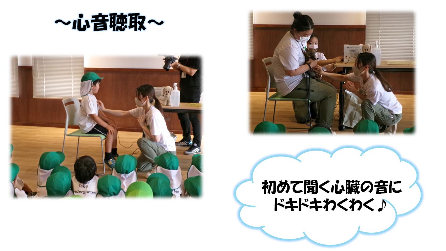 心音