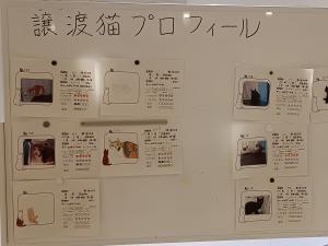 ワークショップ