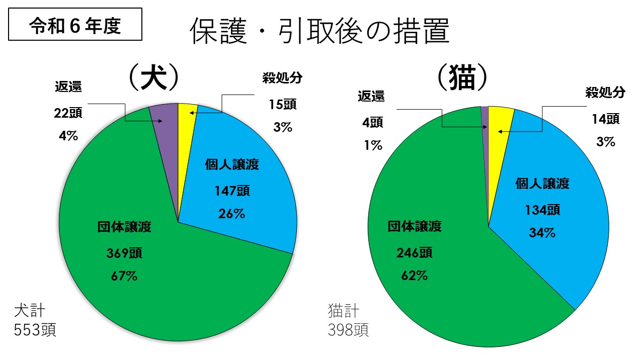 保護