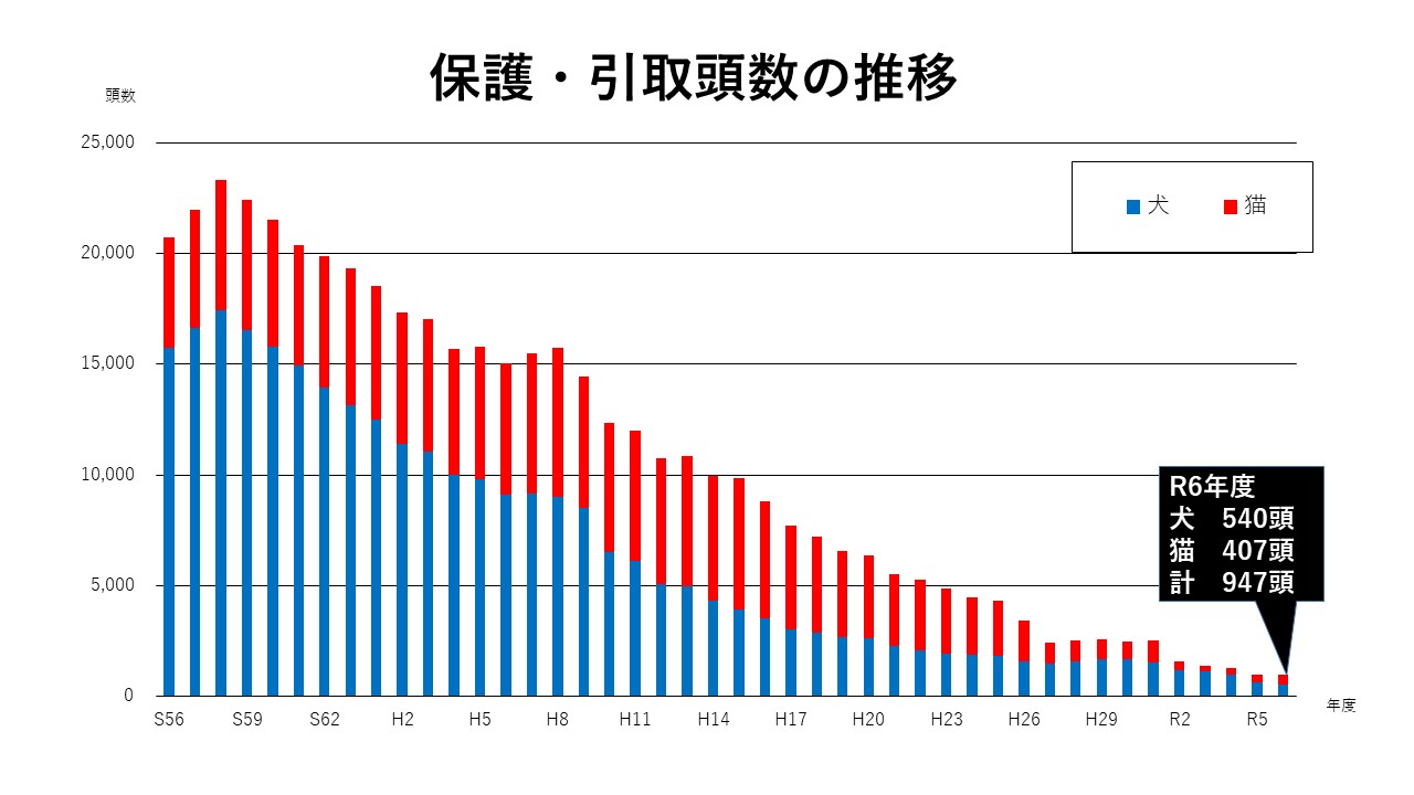 保護・引取の推移